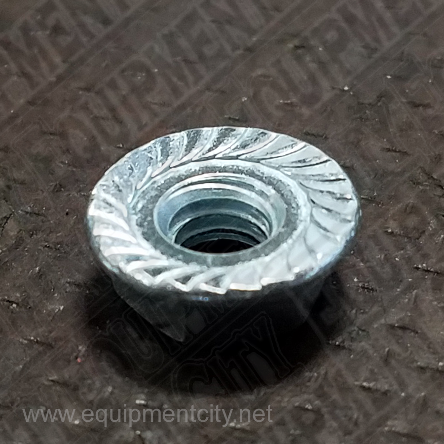 Rotary 40625 1/4-20NC HEX NUT PLATED