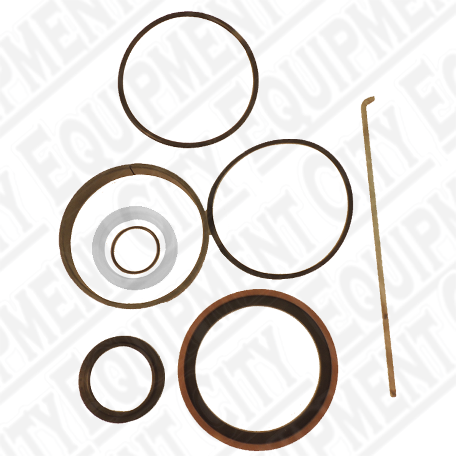 Rotary 992322SKAA SEAL KIT -  DPO15